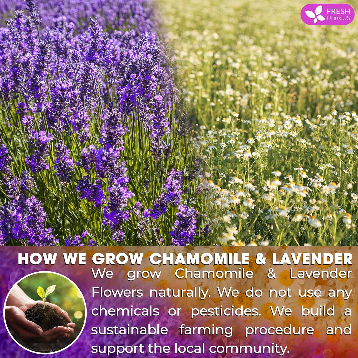 Premium Chamomile Lavender Tea Bags, Eco-conscious Tea Bags. No Sugar, No Caffeine, No Gluten, Vegan.